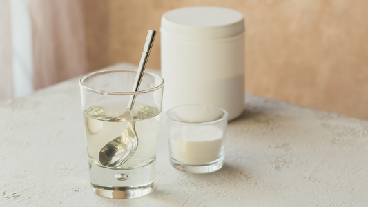 collagène et élastine